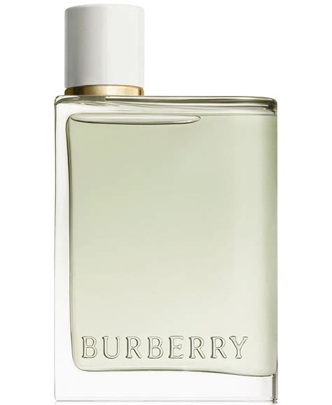 burberry her perfume 3.4|burberry her eau toilette 2022.